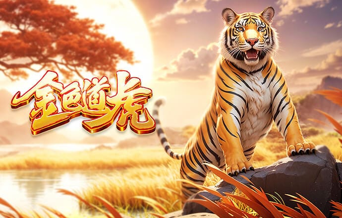 记者：苏莱和帕尼切利因经纪人原因不被阿根廷征召，不换很难回归